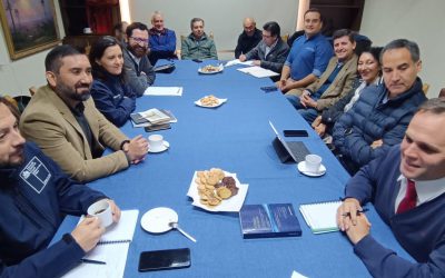 DGA y CNR se reúnen con la Junta de Vigilancia del Río Biobío por implementación del consejo de cuenca piloto