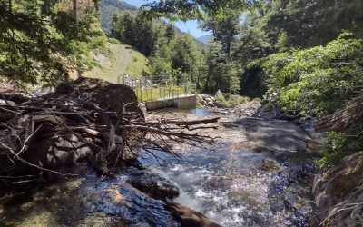 DGA del MOP Araucanía otorga autorizaciones provisorias a Comités de APR de la provincia de Cautín para extraer agua para consumo humano