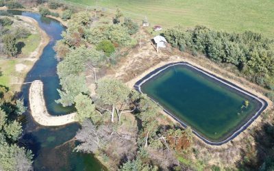 DGA O’Higgins cursa multa de $231 millones a Agrícola Topocalma por extracción no autorizada de aguas y obras construidas sin permiso en cauce de la comuna de Litueche