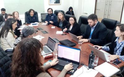 DGA participa en sesión del Comité Directivo del Plan de Adaptación al Cambio Climático para los Recursos Hídricos