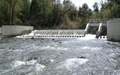 MOP anuncia inicio del proceso de pago de patente por no uso de aguas por más de 157 mil millones de pesos