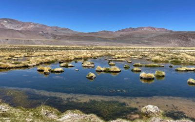 DGA Atacama sanciona a Minera Peñoles por extracción no autorizada de aguas y CleanTech Lithium por no entregar información relativa a pruebas en laguna del Negro Francisco