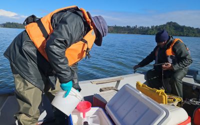 DGA del MOP y Centro EULA dan a conocer el estado de salud de 28 lagos de Chile