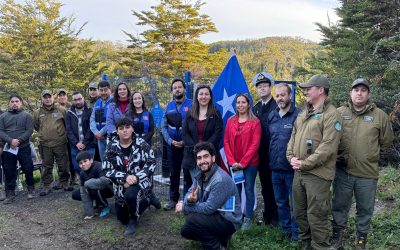 DGA Magallanes amplía red de monitoreo de aguas subterráneas con nueva estación en Puerto Toro